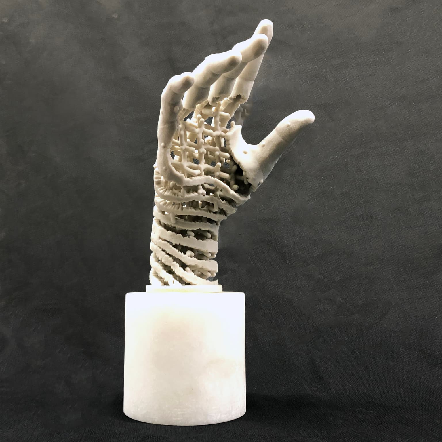 Image for entry 'Adam's Hand'