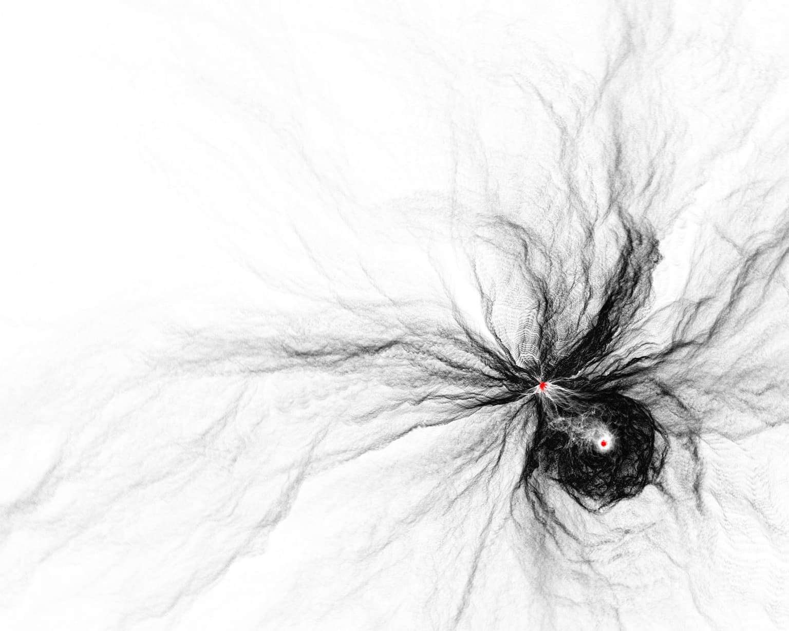 Image for entry 'Black Widower'