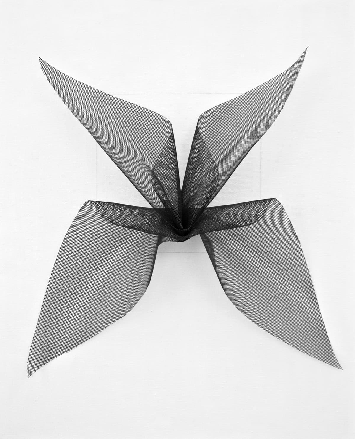 Image for entry 'Curved Squares 2'