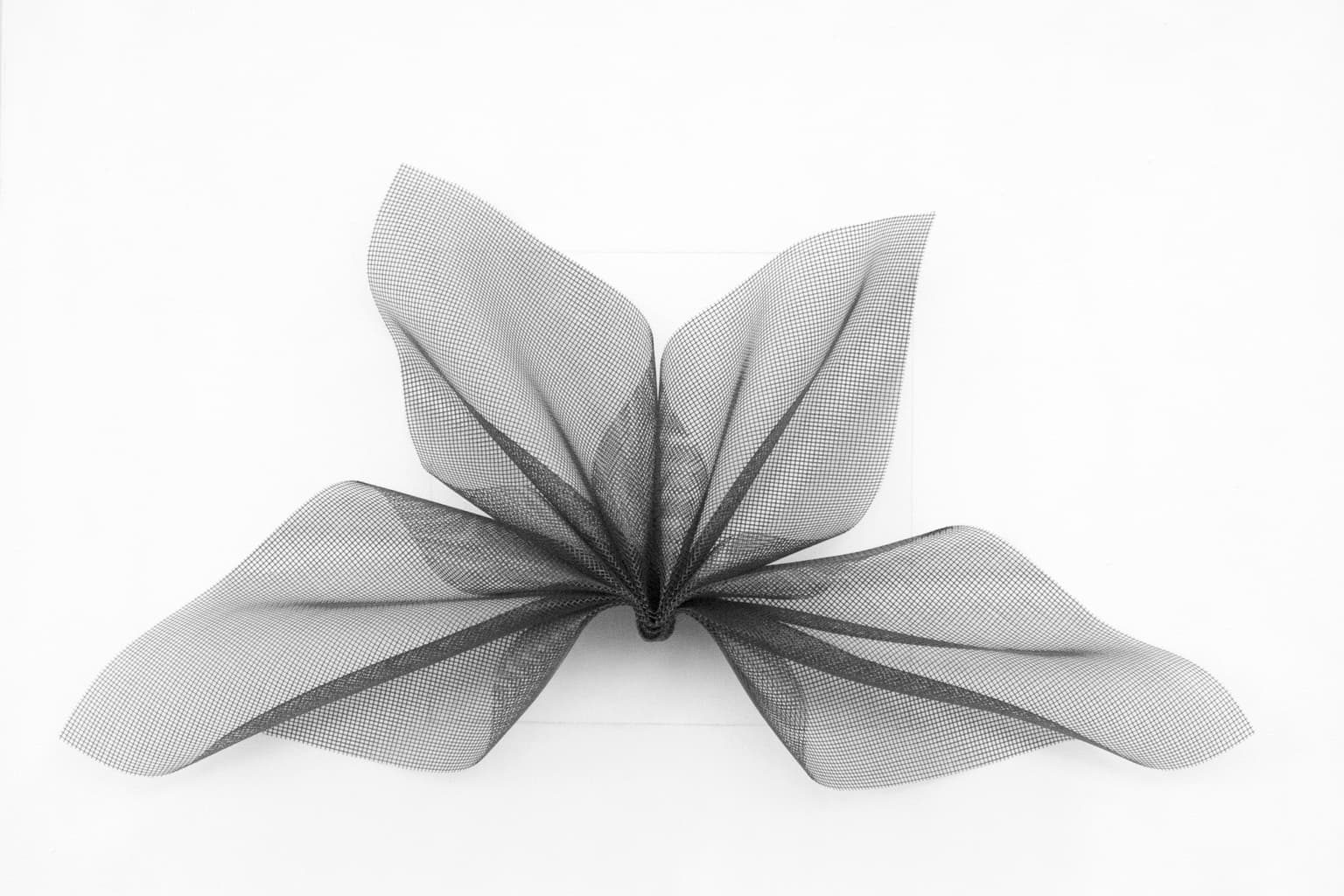 Image for entry 'Curved Squares 1'