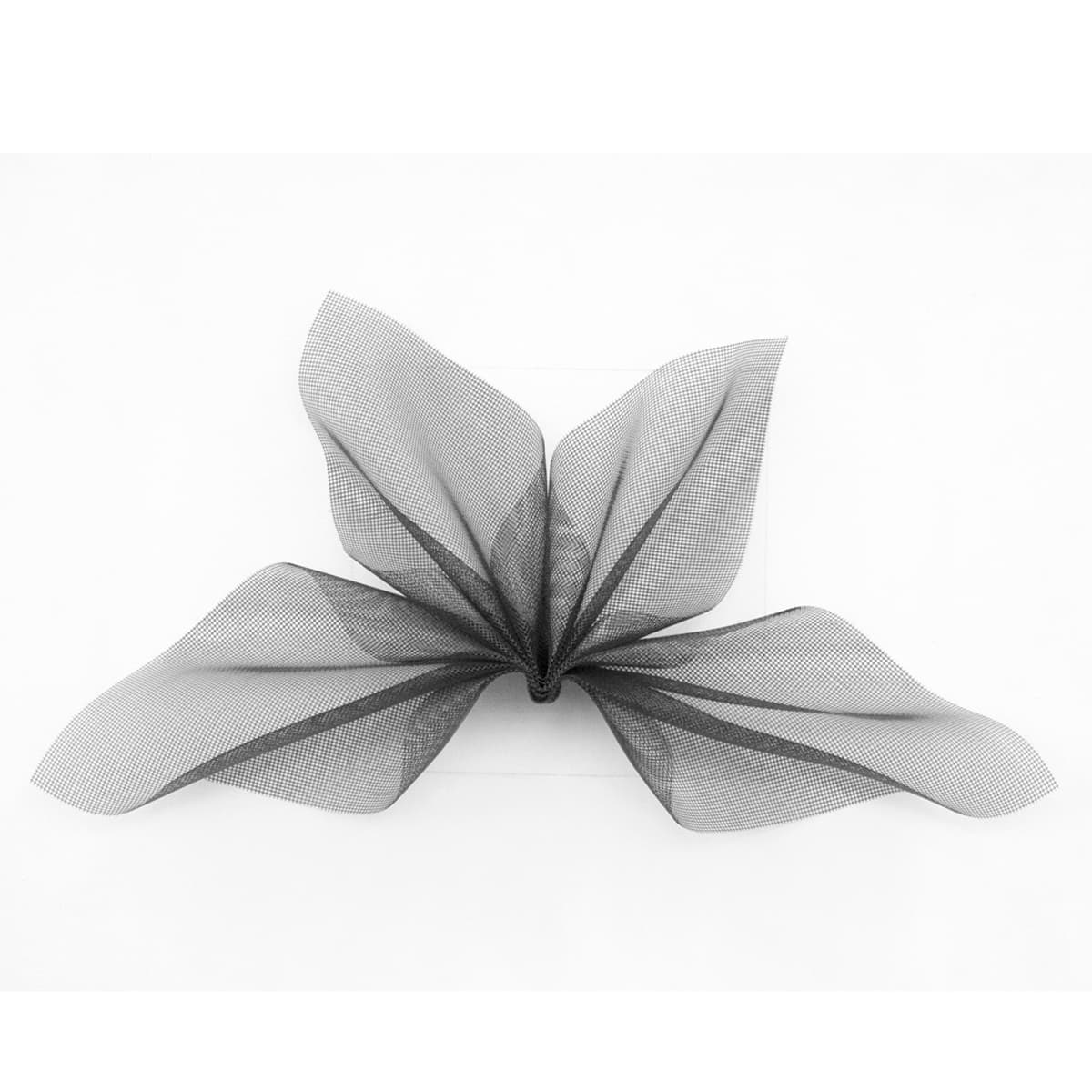 Image for submission 'Elizabeth Whiteley'