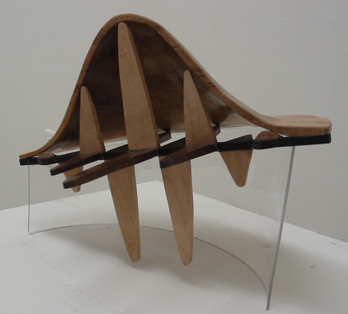 Image for entry 'Gaussian Wave Packet Sculpture'