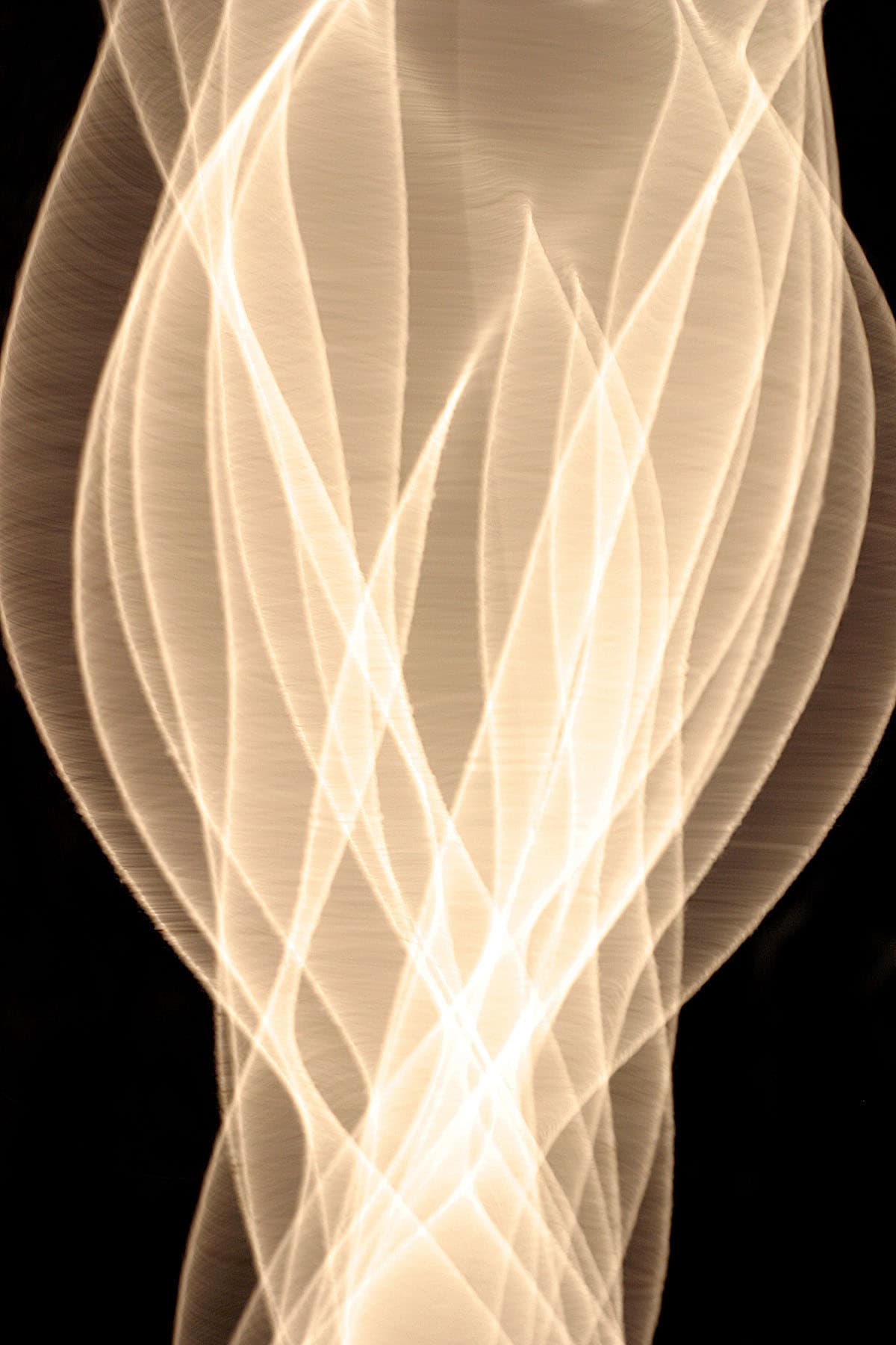 Image for entry 'String Vibrations'