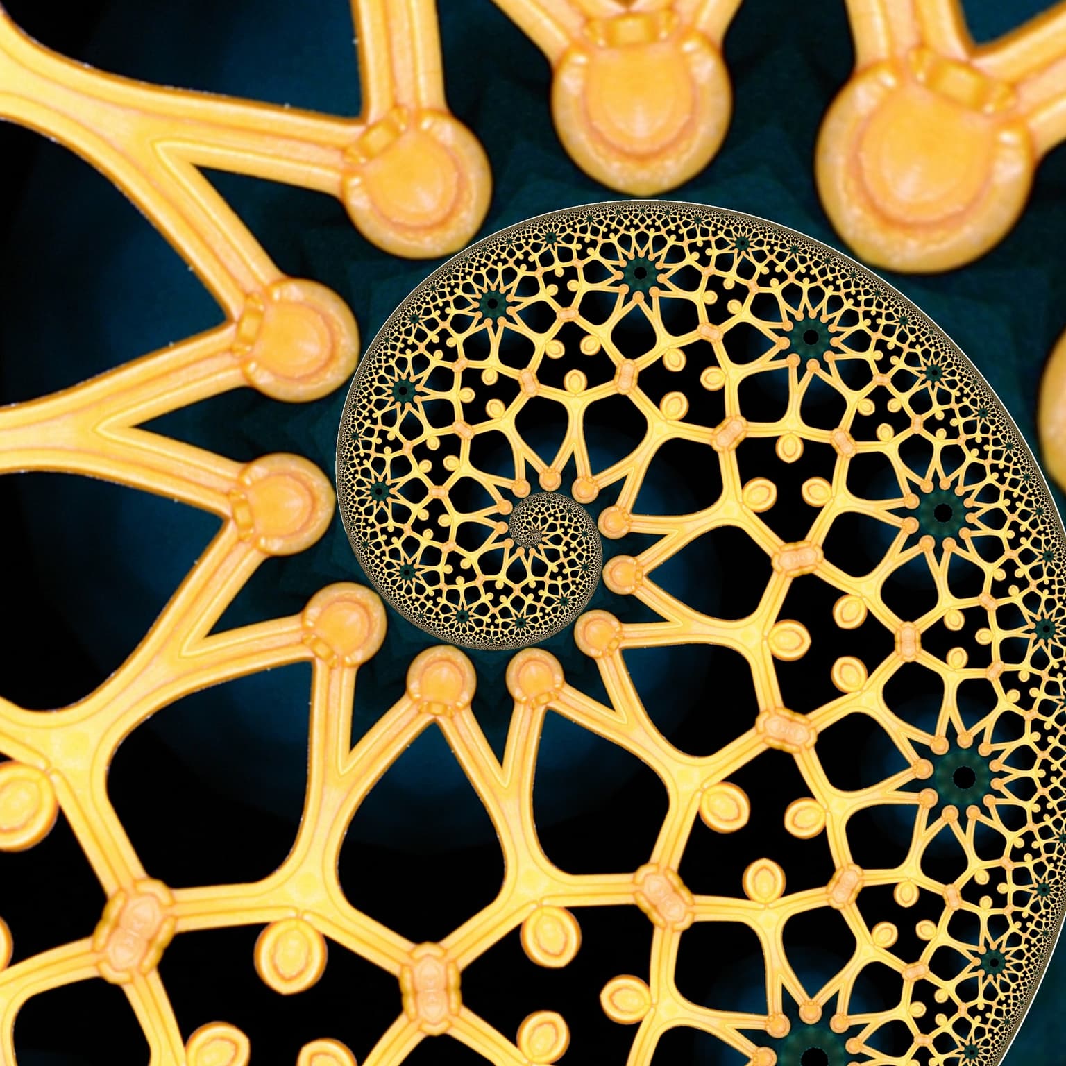 Image for entry 'Drosted philadelphia'