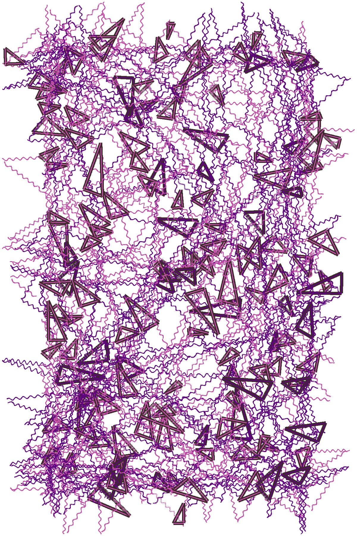 Image for entry 'Right Angle Triangles in Flatland A'