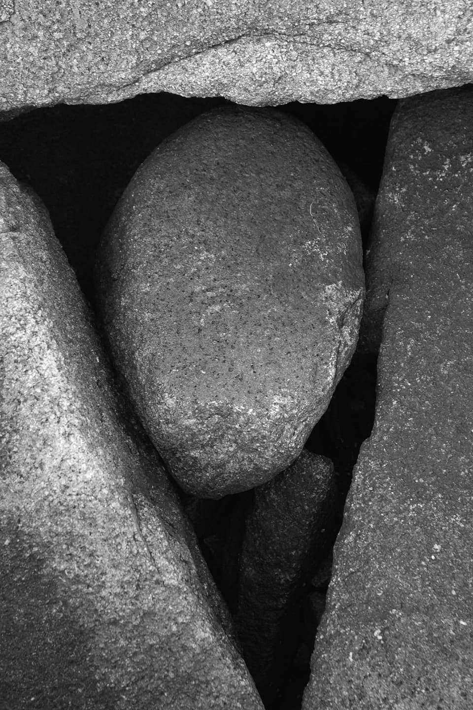 Image for entry 'Inscribed'
