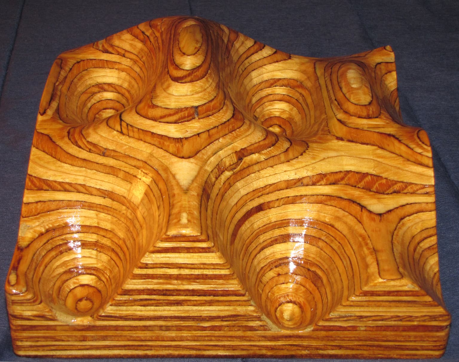Image for entry 'Level Curves on a Smooth Surface'