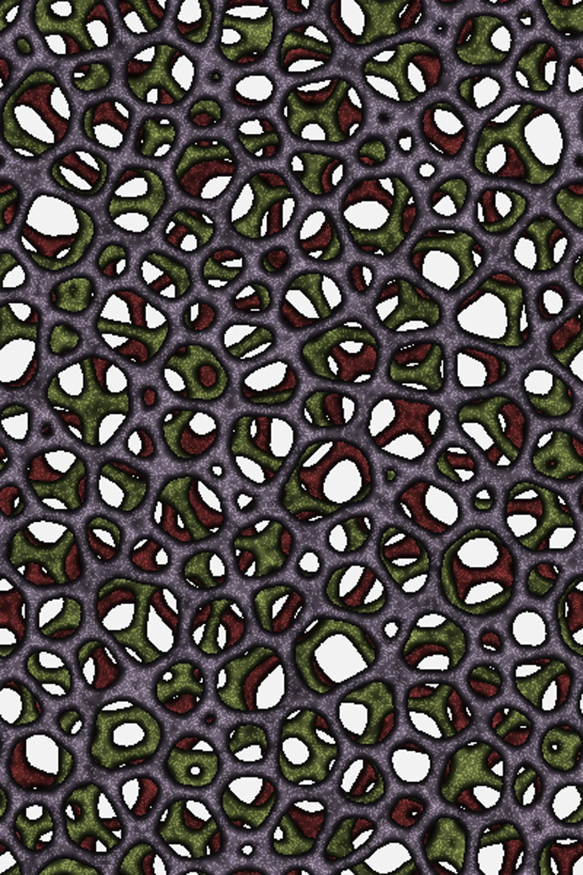 Image for entry 'Transport Network Overlay #9727'