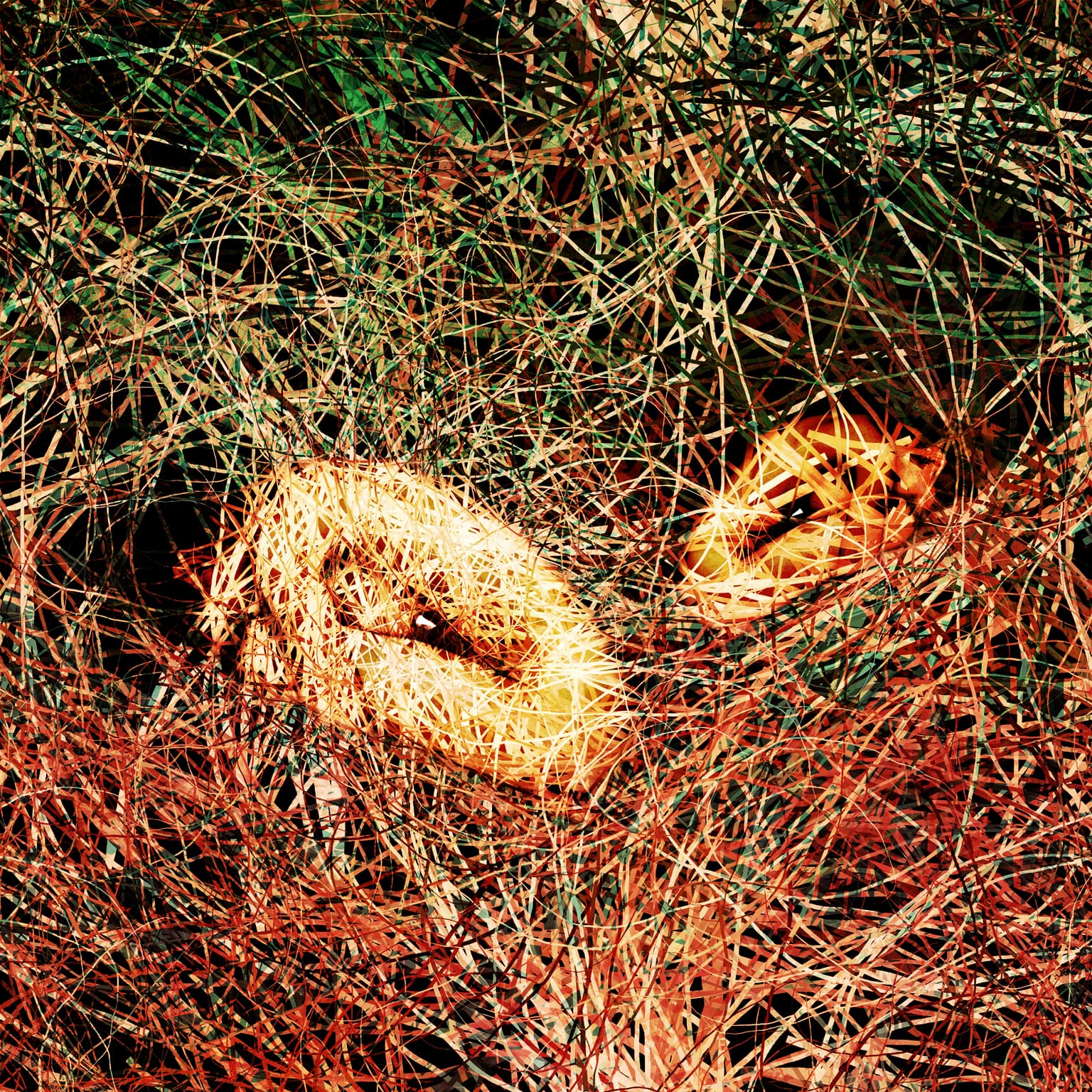 Image for Silence of the Mind