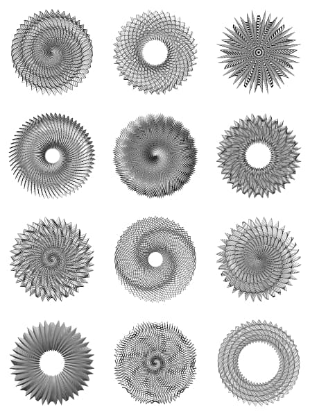 Image for entry 'Benz-Grignani Progeny'