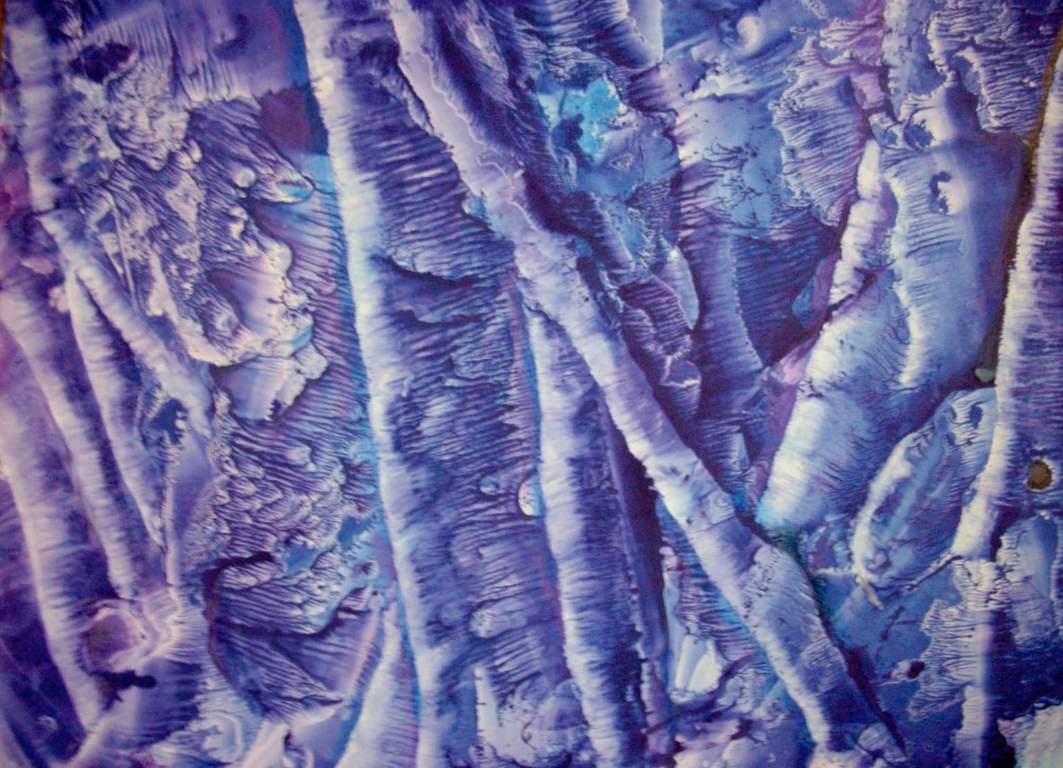 Image for BIrches