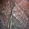 Image for submission 'Mary Wahr'