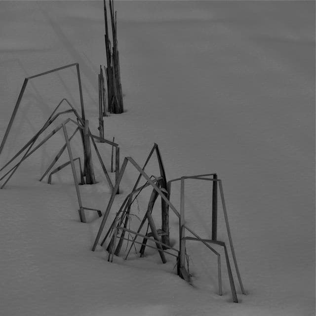 Image for entry 'Geometry workshop'
