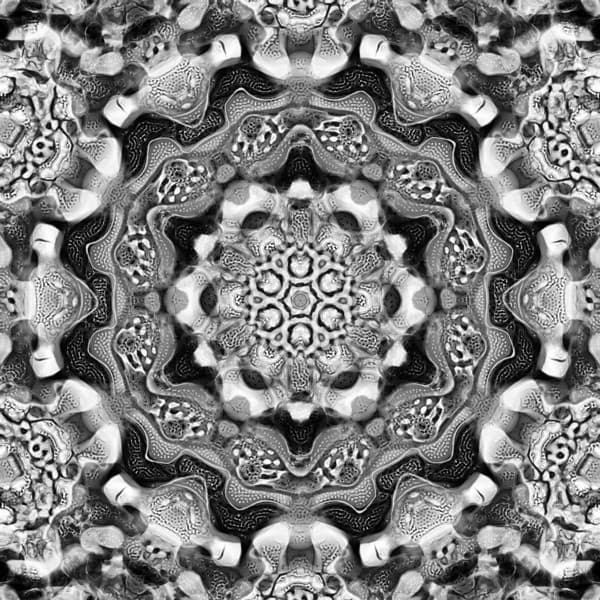 Image for entry 'Diatomaceous Three'