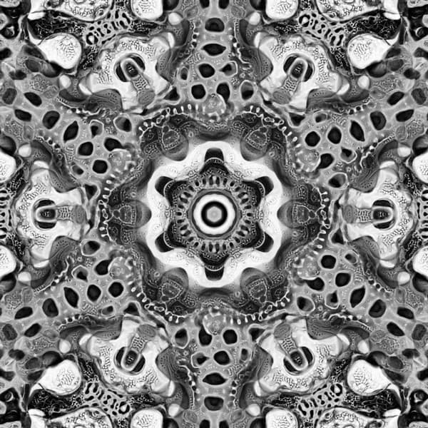 Image for entry 'Diatomaceous Two'