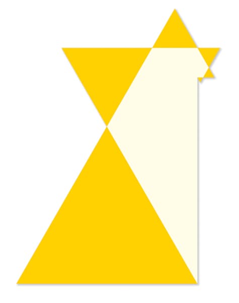 Image for Star Poly-D